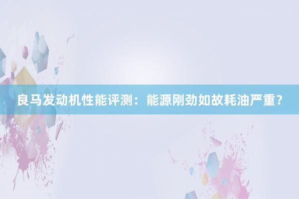 良马发动机性能评测：能源刚劲如故耗油严重？